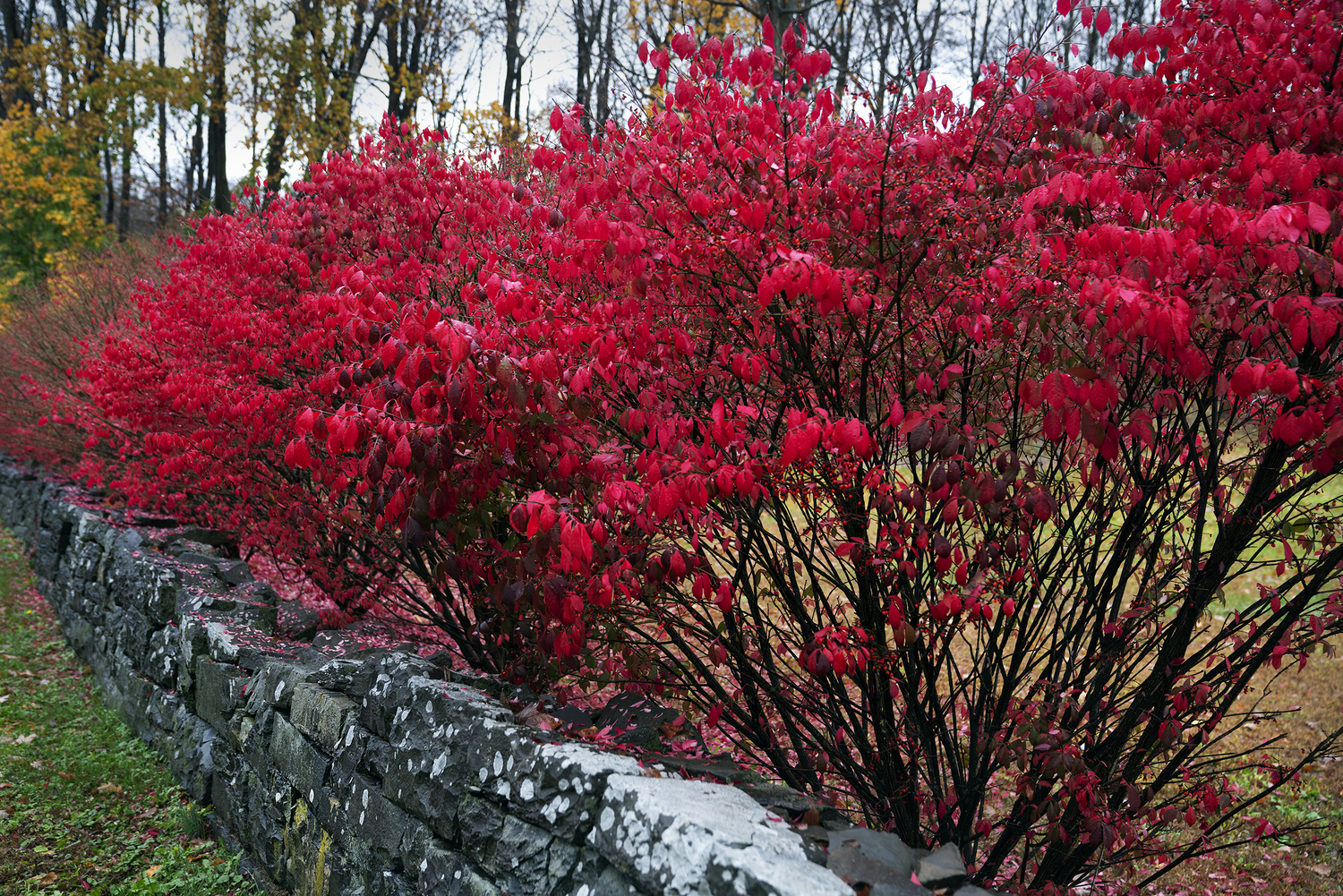Hudson Valley, 40