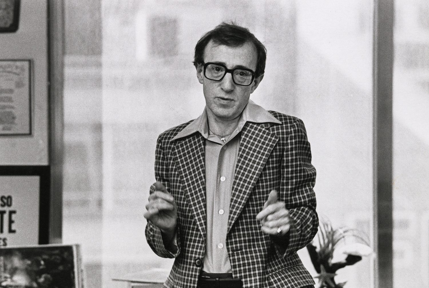 Woody Allen, Broadway Danny Rose