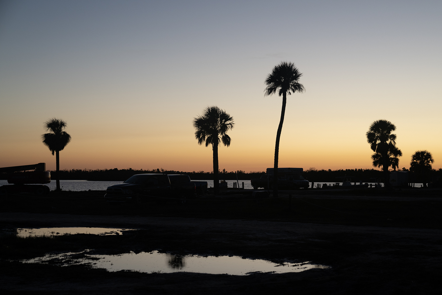 Palms on Pine Island #3